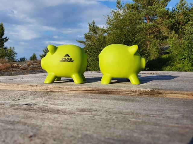 Sparegriser rygg mot rygg  -Ørland Sparebank